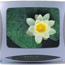 专业生产出口中东地区彩色电视机