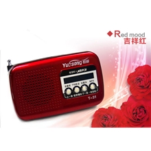 爆款悦颂T31音箱迷你音响便携小音箱带收音机FM晨练厂家批发