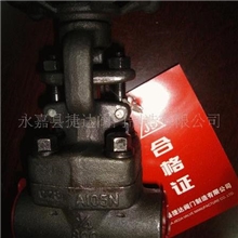 供应Z61H锻钢焊接闸阀