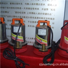 厂家直销12V舱底洗车船用农用灌溉便携车载直流水泵