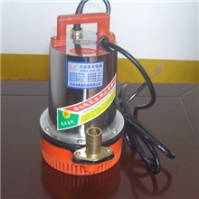 厂家直销大流量高扬程48V电动车专用农用园艺车载直流水泵