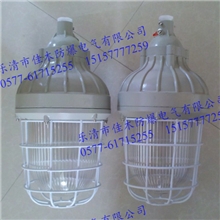 防爆节能照明灯CCd93-J42hHdIICT4