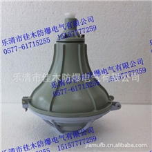 防水防尘灯FGL-L-L70b1Z