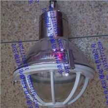 FAD-G-L100gHPZ防水防尘防腐灯