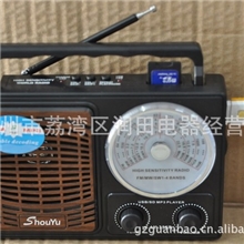 RadiowithUSB/SDRechargeablebatteriesLY-355R/LY-356R