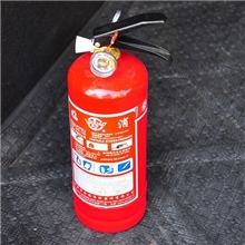 手提式车载灭火器迷你汽车灭火器500g干粉车载灭火器汽车用品