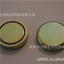 20芯喇叭U铁磁回磁路生产厂家