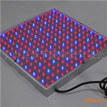 低价大量供应15W方形小功率LED植物生长灯
