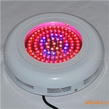 低价大量供应高品质90W大功率LED植物生长灯