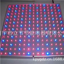 LED植物灯现货出售15WLED植物生长灯红蓝165:60