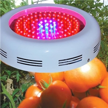 全光谱特殊波段660低价大量供应90W660nmLED植物生长灯