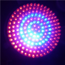 低价大量供应PAR38-9W小功率LED植物生长灯9w灯杯E27植物灯