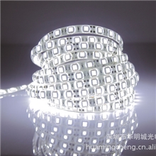 供应led软灯条5050高亮led软灯条60灯白色不防水led软灯条