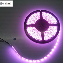 粉紫色5050滴胶防水LED软光条酒吧舞台气氛用粉紫色LED软条灯
