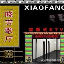 LED灌胶全彩灯串