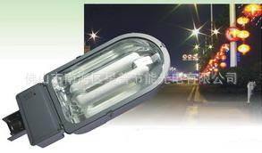 低频无极灯路灯佛山星普无极灯路灯灯头