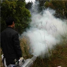 供应高效果园弥雾机大棚烟雾机农地打药机招代理