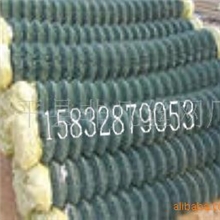 专供咸宁绿色pvc勾花网活络网斜方网菱形网铁丝网不锈钢网