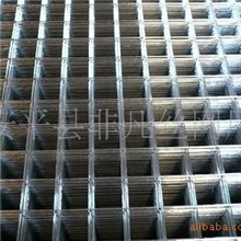 专供厦门pvcPE电焊网片铁丝网不锈钢网