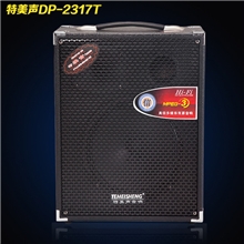 批发DP-2317T10寸户外移动背带音箱电瓶音响收音录音U盘无线咪