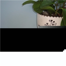 智能中文小女生对话模块价格合理