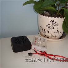 销售中文二人智能对话毛绒玩具机芯