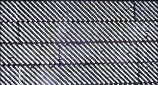 专业销售LED广告屏P10单白显示屏p10单色显示屏