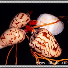 厂家供应越南进口海滩山水海螺口哨海螺哨子各种贝壳海螺工艺品