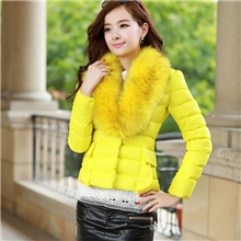 2013冬装新品女式羽绒服短款厂家批发销售韩版修身高端羽绒服