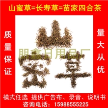 云南长寿草山蜜茶山蜜草山密茶山密草蜜粮草天下第一凉茶