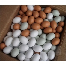 木制仿真鸡蛋白皮绿皮鸭蛋彩绘儿童过家家仿真食品道具玩具.05