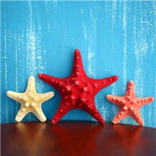 海洋风情装饰天然五指馒头海星家居摆设墙贴地台中号5~10CM