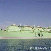 上海立定展示模型厂供应各种运输船模型滚装船模型制作和定做