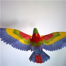 厂家直销2538B-1眼睛头部带灯音乐电动吊线鹦鹉吊线鹦鹉批发