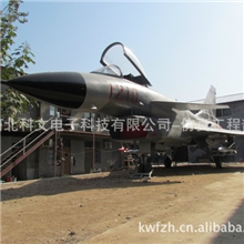 1:1高仿真歼十飞机模型