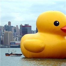 大黄鸭橡皮鸭户外观赏厂家直销3米高