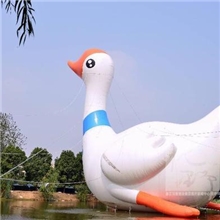 厂家直销充气大白鹅小天鹅充气鹅天鹅义乌大白鹅