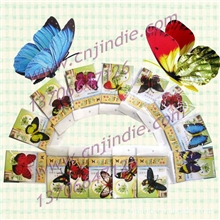 厂家批发PVC蝴蝶饰品仿真蝴蝶盆景伴侣，标本鲜花花卉，工艺品