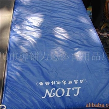 供应体育器材及力恩高级防水体操垫