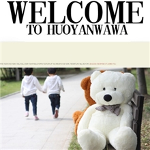 厂家直销泰迪熊公仔毛绒玩具批发2米大抱熊娃娃特价打折