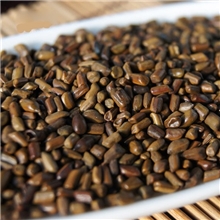 游乐设备厂家直销充气沙池决明子优质决明子