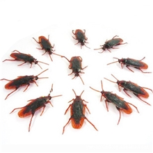 仿真动物吓一跳蟑螂新奇恐怖整人搞怪玩具恶搞