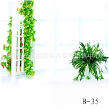 影楼摄影器材摄影服装道具主题实景数码背景