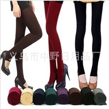 彩色九分拉绒裤打底裤拉绒九分裤内加绒裤袜鄂尔多斯羊绒裤批发