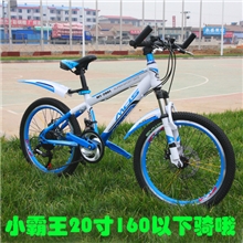 20寸小霸王青年车学生车女士车公路车自行车山地自行车批