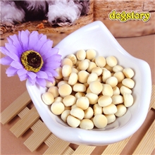 旺仔小馒头美国dogstory狗零食除臭饼干50g祛口气除便臭