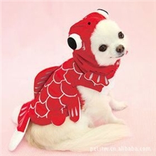 2012秋冬季爆款狗衣/立体金鱼变身宠物服装/宠物衣服厂价直销