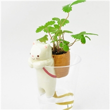 尾巴吸水,乐友新品动物尾巴吸水萌宠盆栽,可定制的礼品-野草莓猫