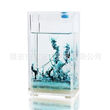 乐友生态园新品，创意奇特玩具，生态智益寓教玩具，深海梦精灵