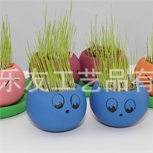 乐友新品,快乐栽培幸福豆系列新品上市